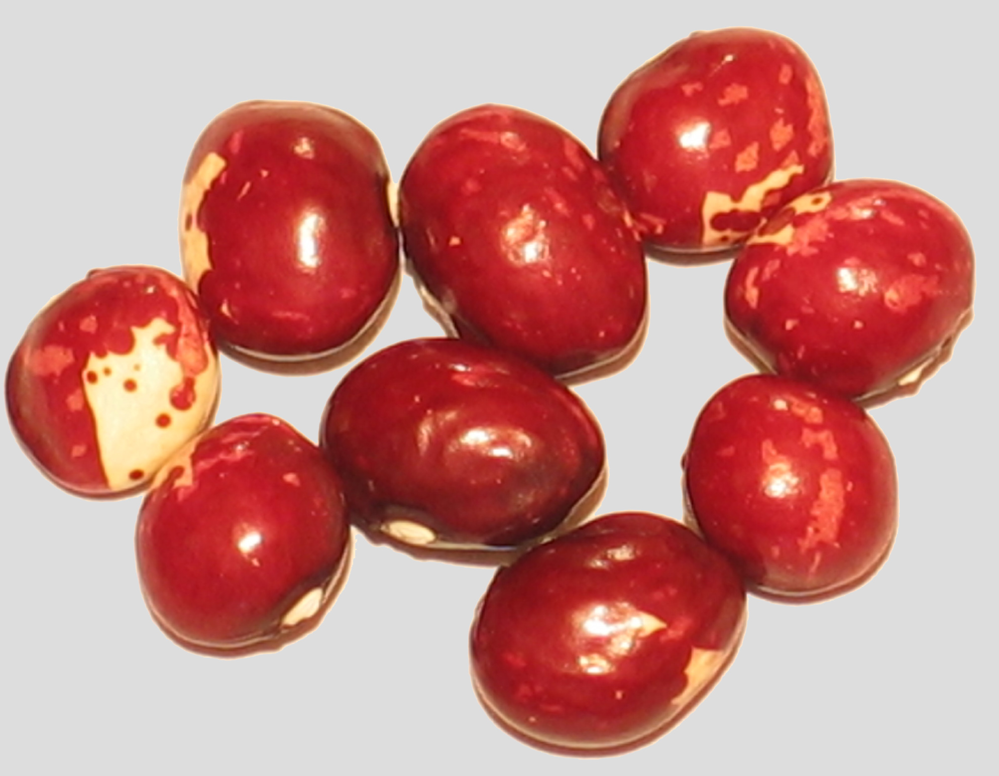image of Woodruff beans
