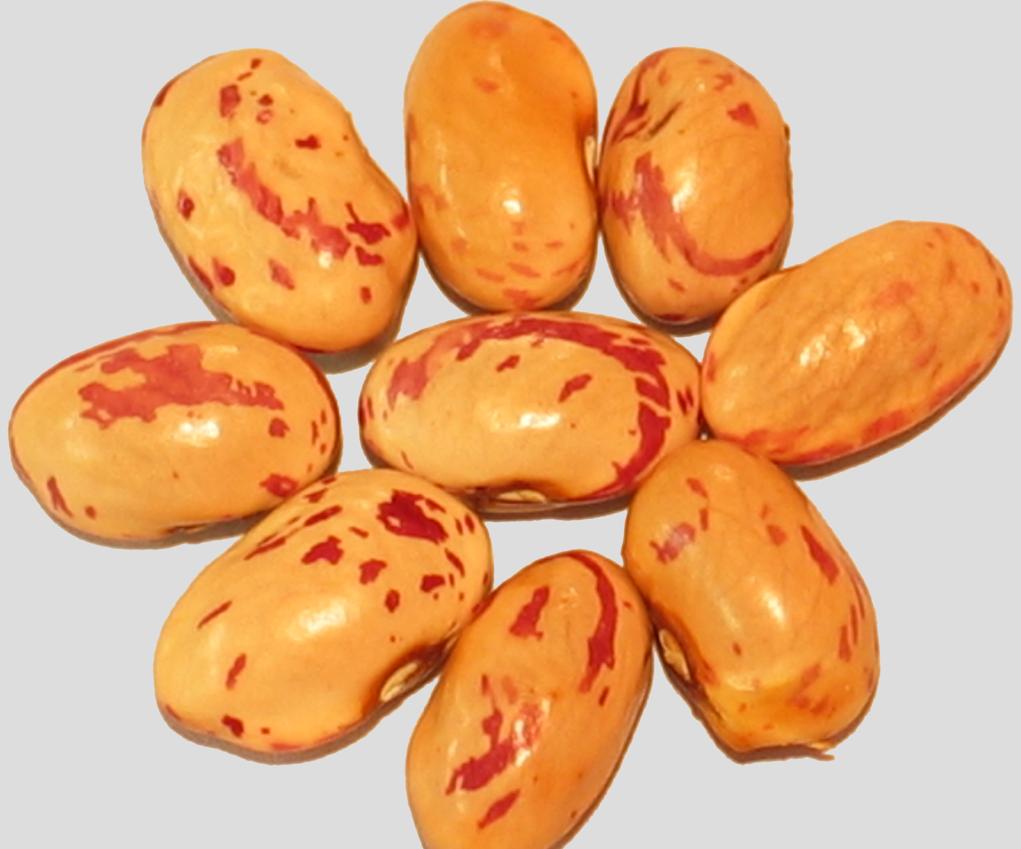 image of Woza Sugar beans
