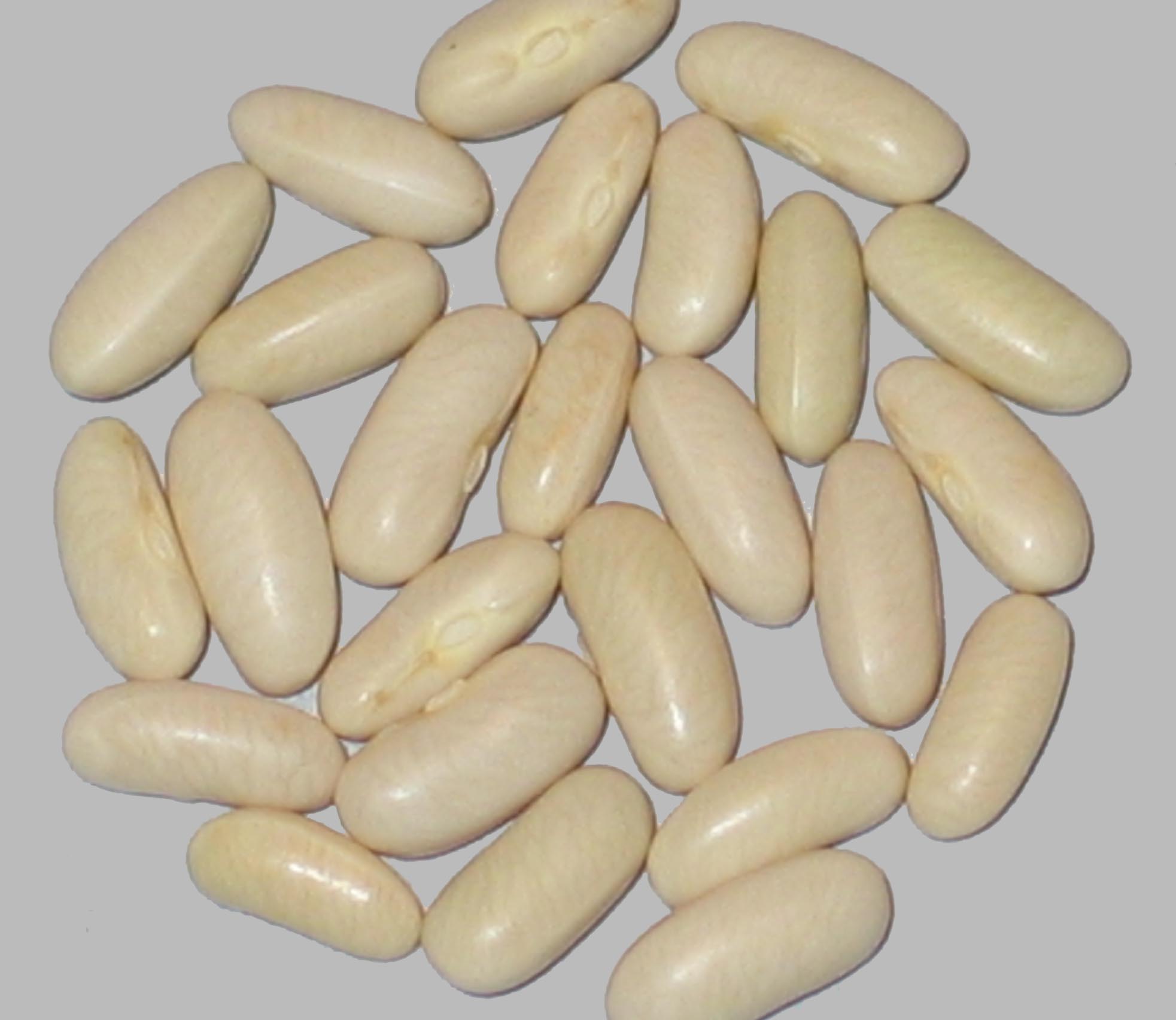 image of Yaris beans