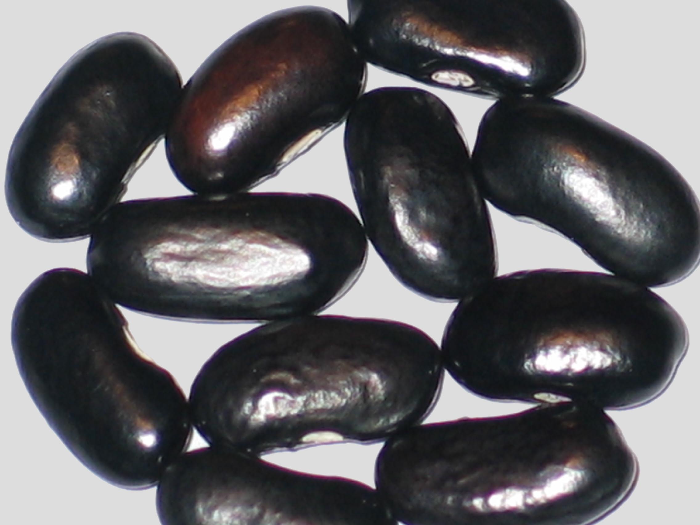 image of Yellow Point beans
