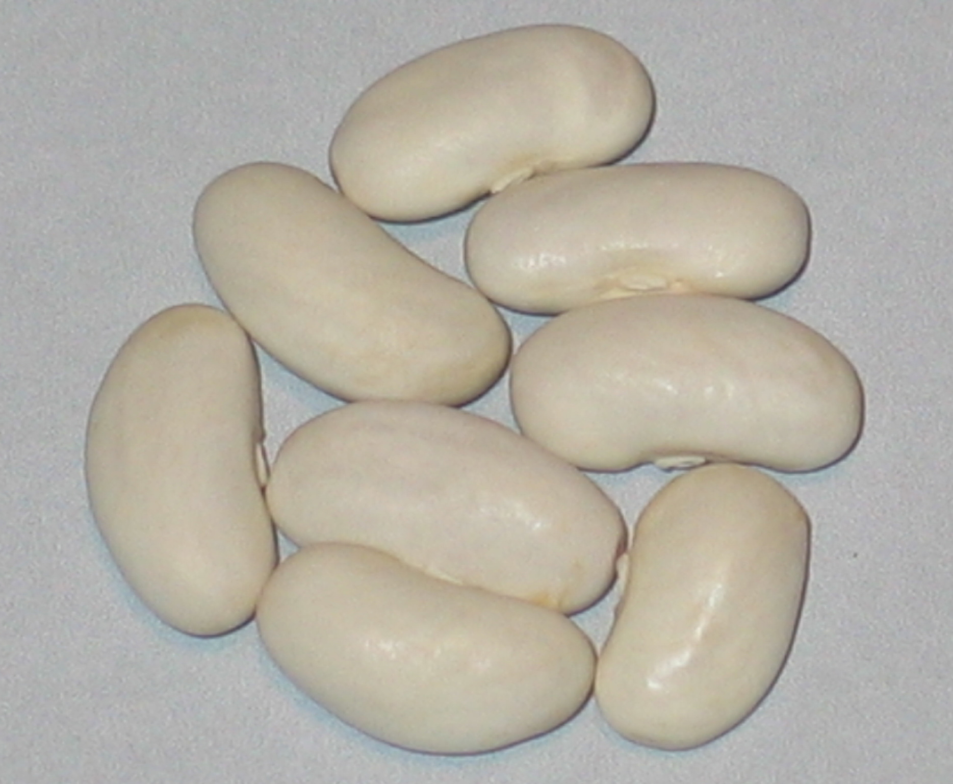 image of Zambezi #2 beans