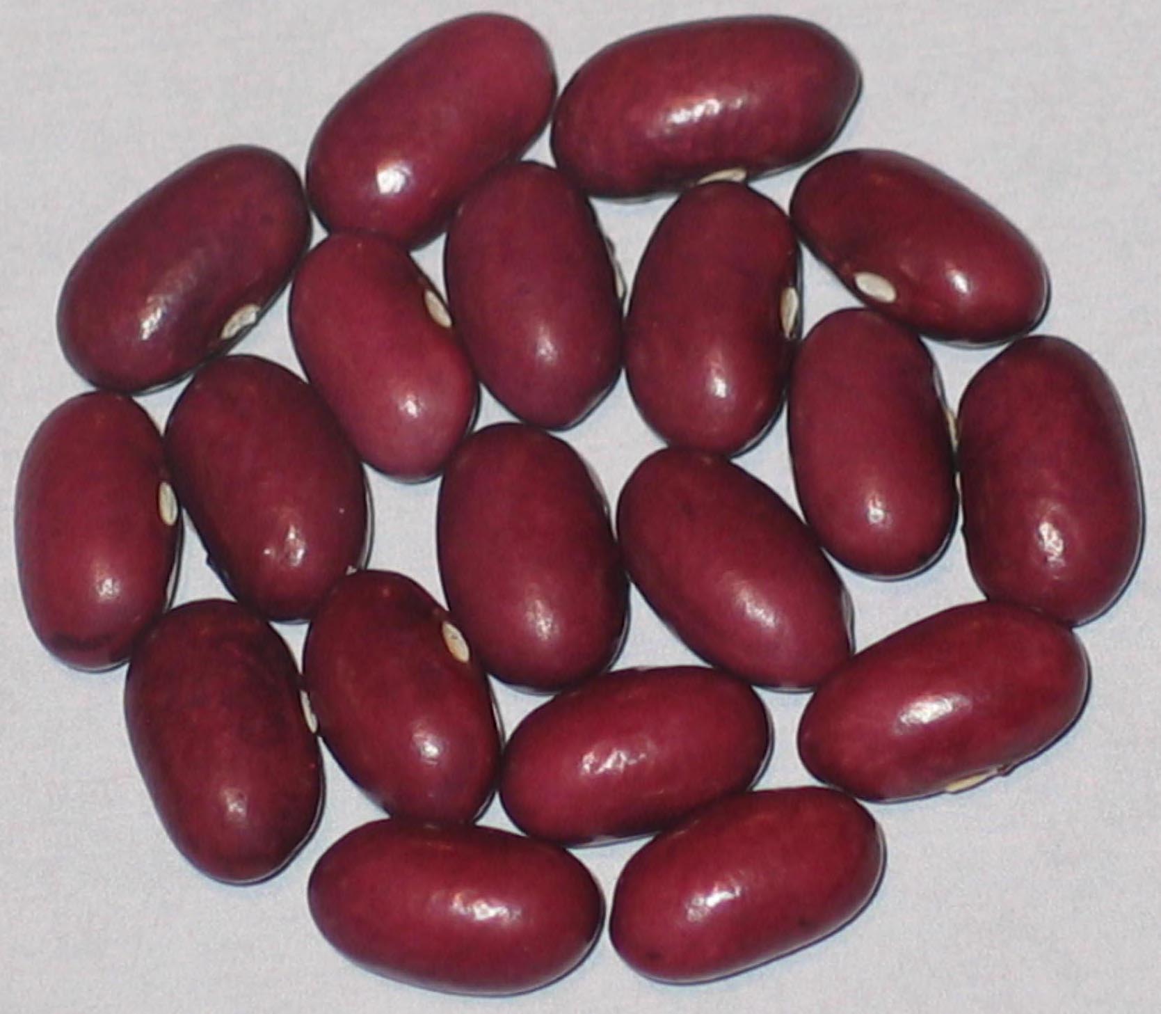 image of Zambezi #2 beans