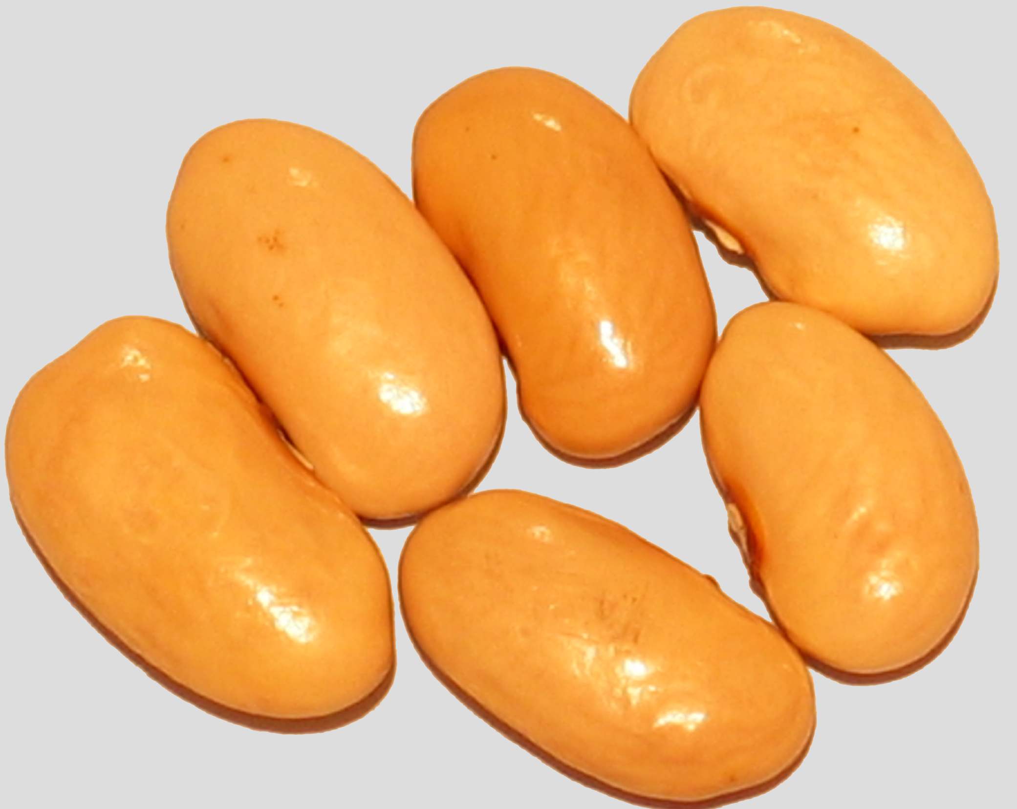 image of Zugdidi Ivory beans
